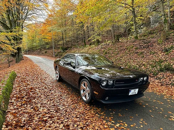 Dodge Challenger 2010 photo 2