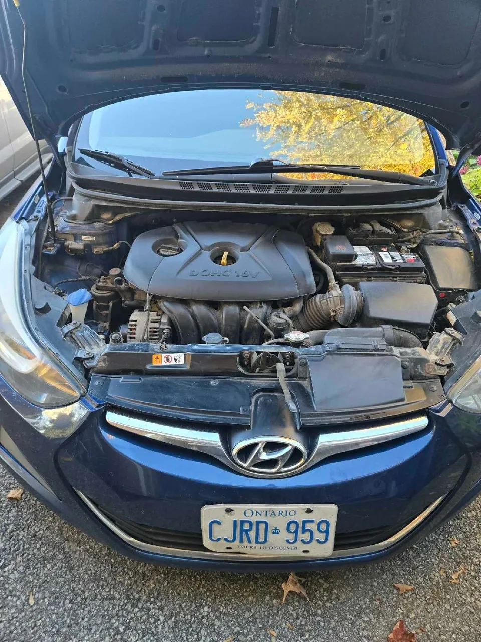 Hyundai Elantra 2016 photo 5