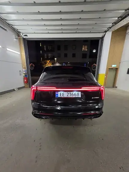 Hongqi E-Hs9 2022 photo 3