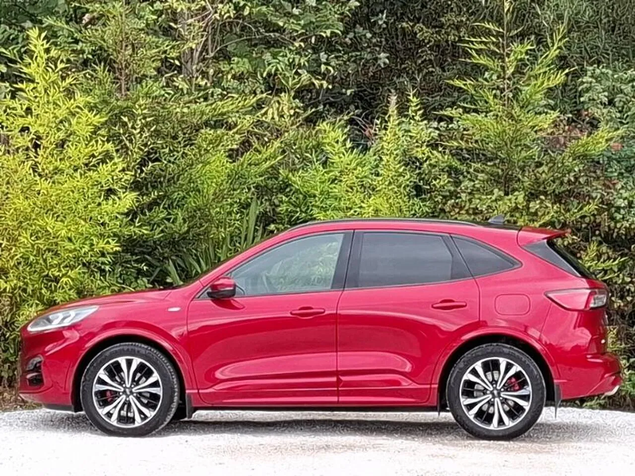 Ford Kuga 2020 photo 4