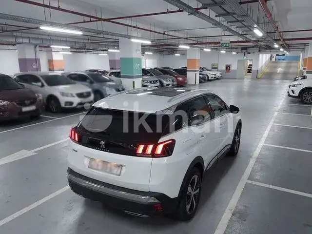 Peugeot 3008 2019 photo 3