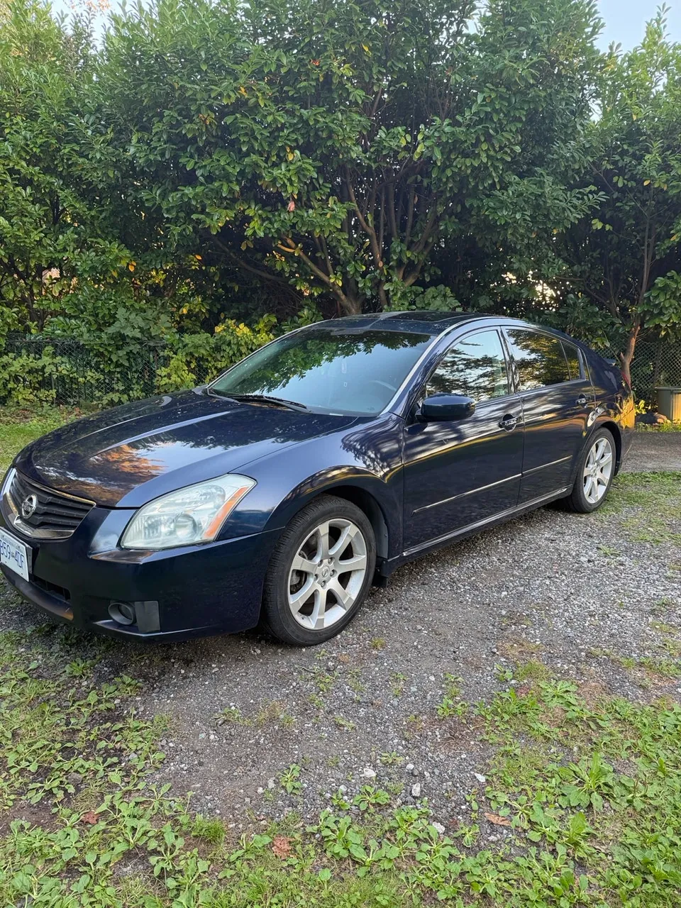 Nissan Maxima