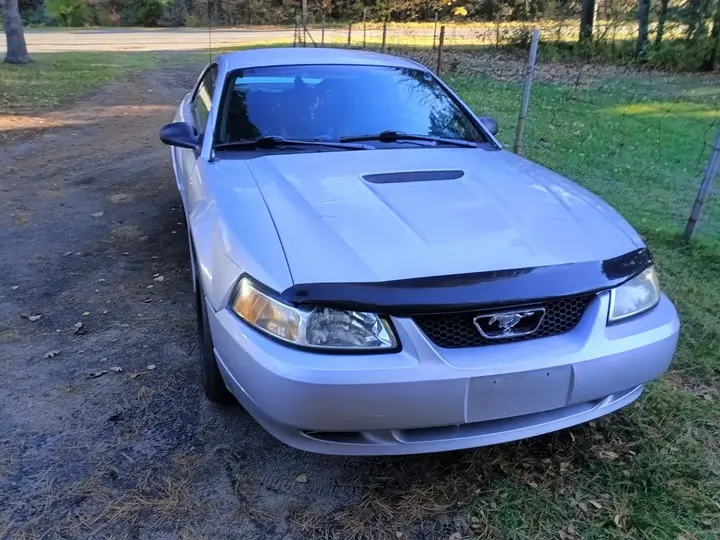 Ford Mustang 2000 photo 2