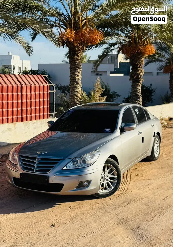 Genesis Sonata 2010 photo 2