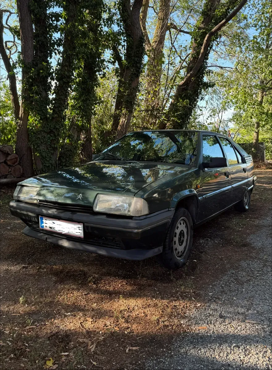 Citroen Bx 1994 photo 2