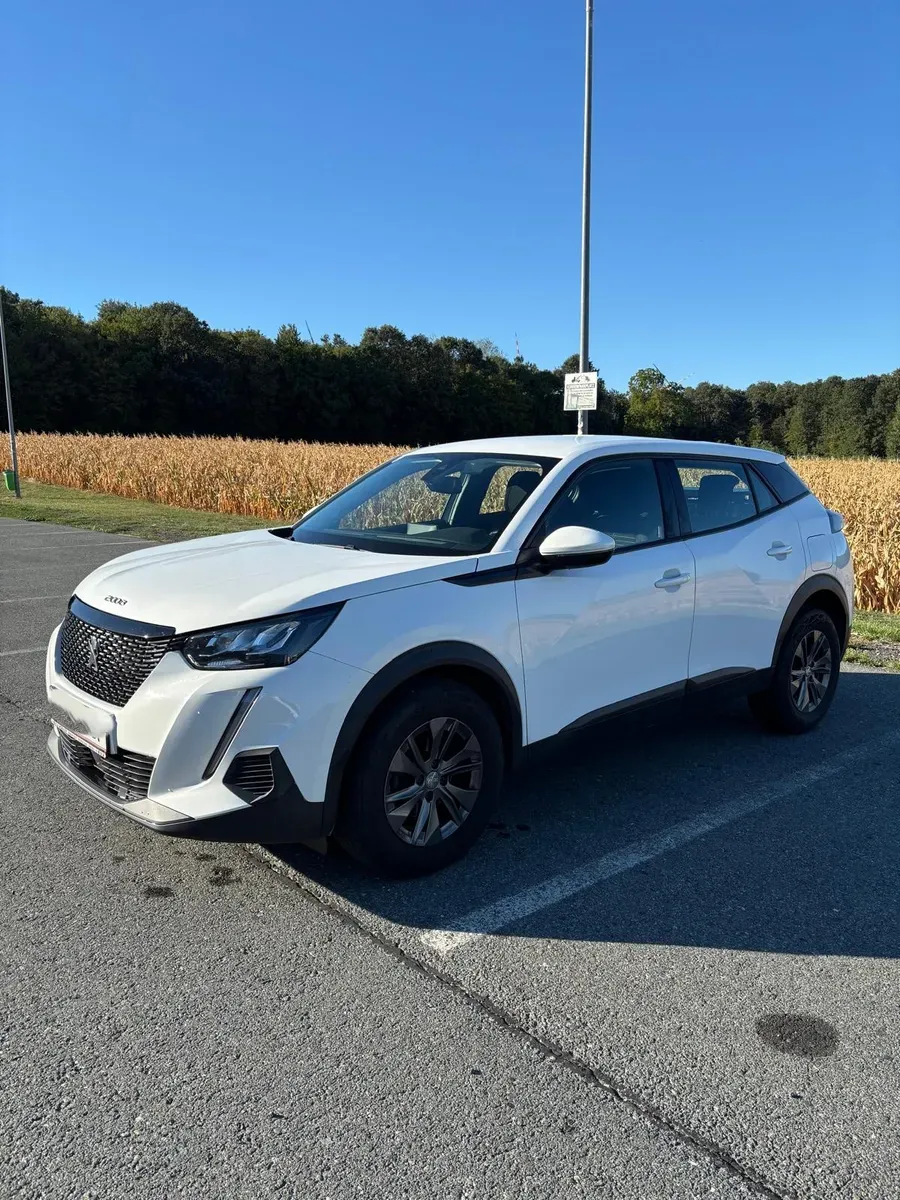 Peugeot 2008 2021 photo 3
