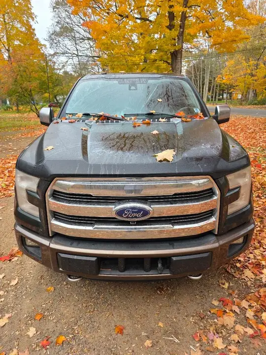 Ford F-150 Lariat 2016 photo 2