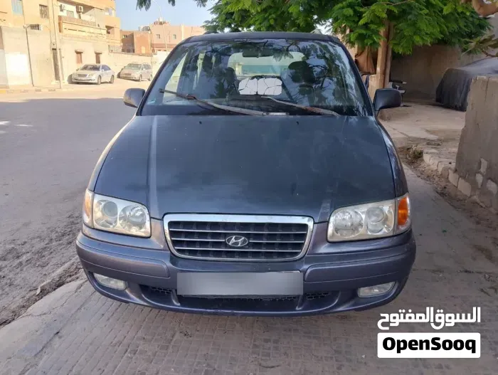 Hyundai Trajet