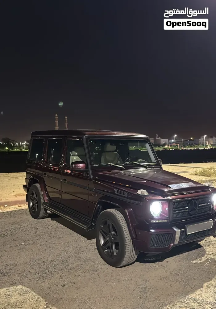 Mercedes-Benz G-Class 2008 photo 2