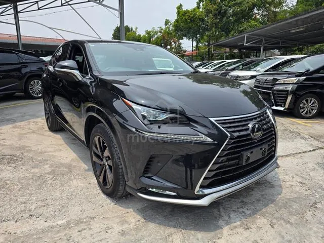 Lexus Nx300