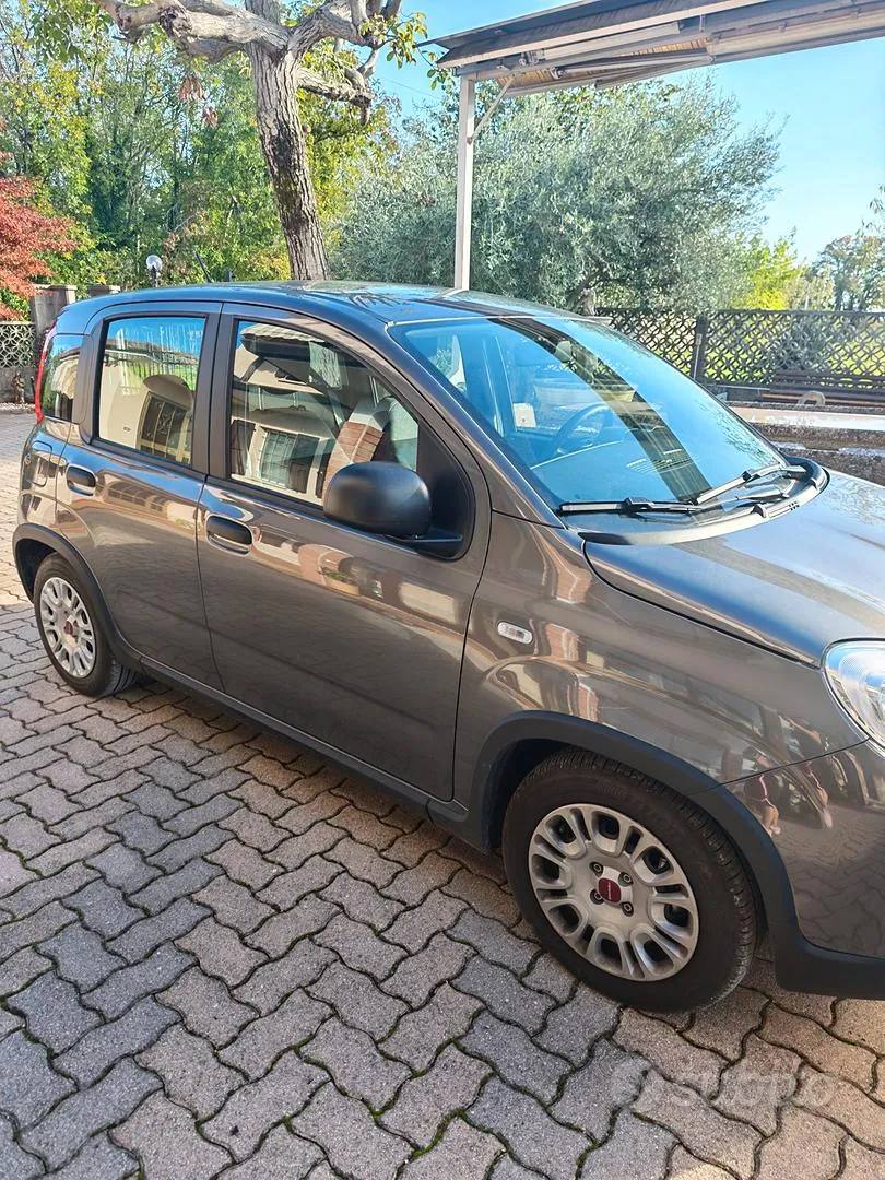 Fiat Panda 2023 photo 3