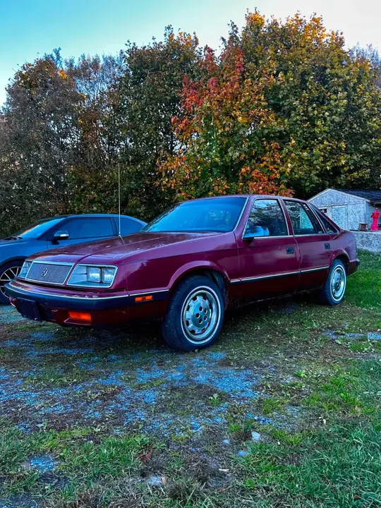 Chrysler Lebaron 1985 photo 2