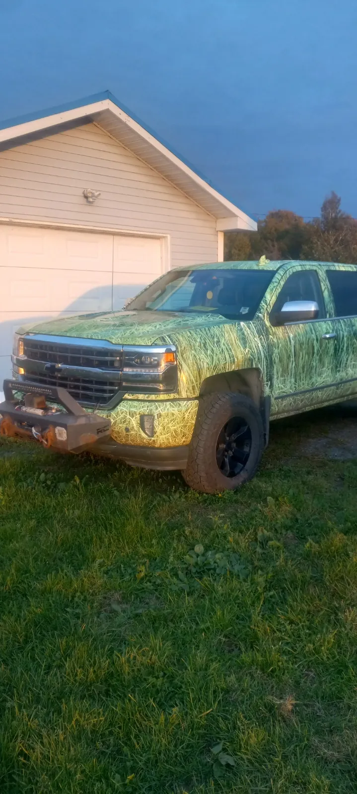 Chevrolet Silverado 1500 2018 photo 2