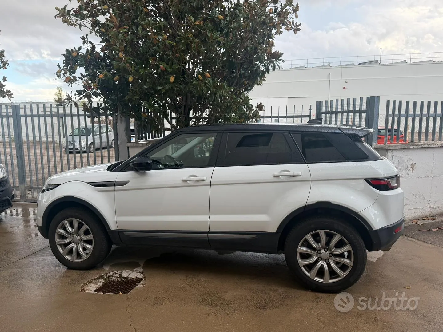 Land Rover Range Rover Evoque 2019 photo 2