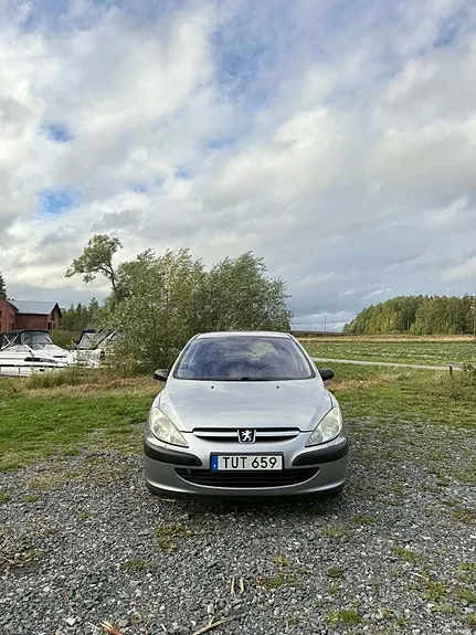 Peugeot 307 2003 photo 2