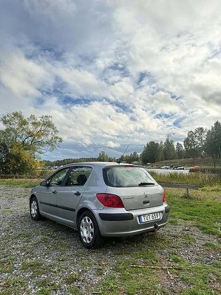 Peugeot 307 2003 photo 3