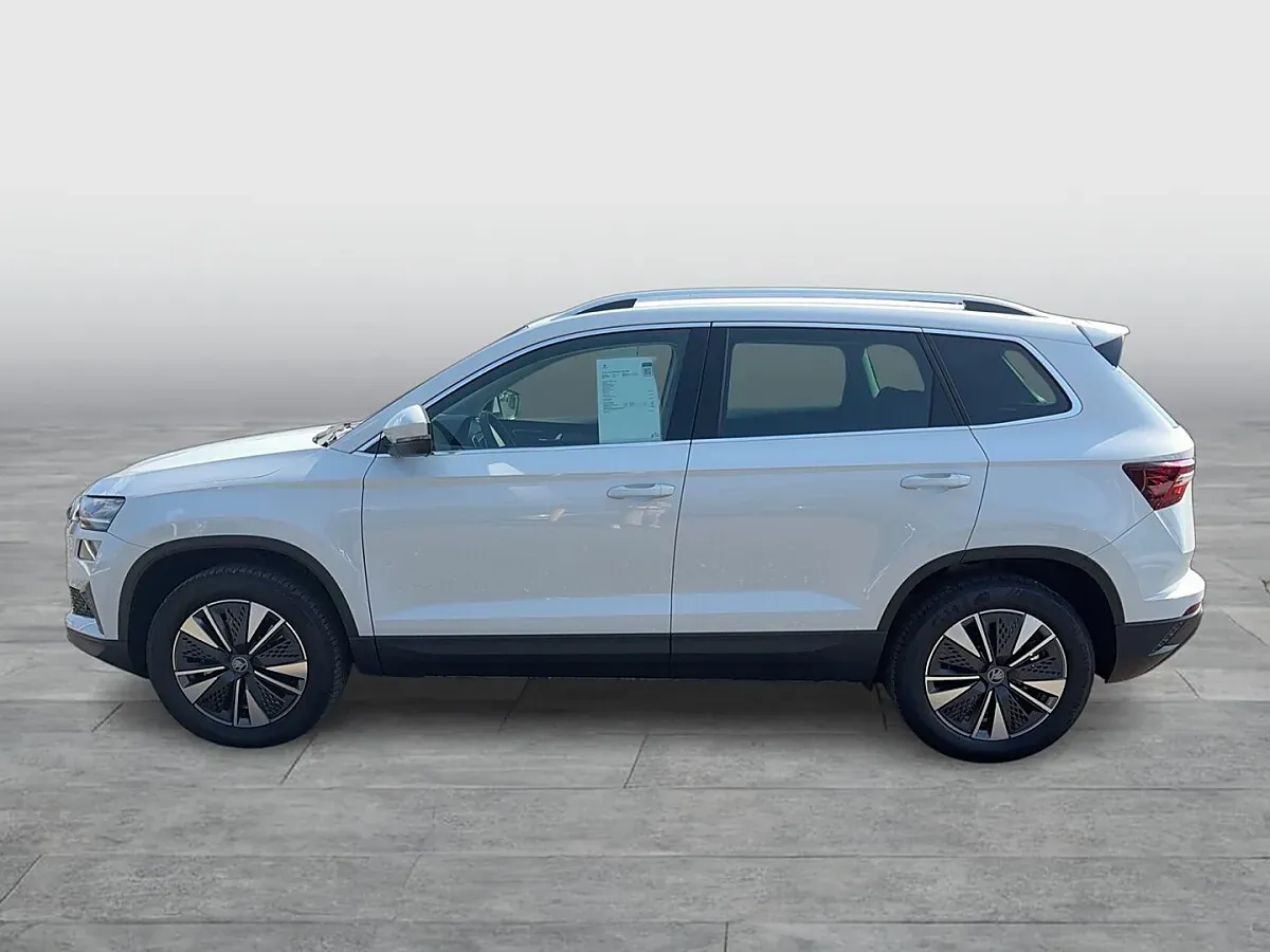 Skoda Karoq 2026 photo 2