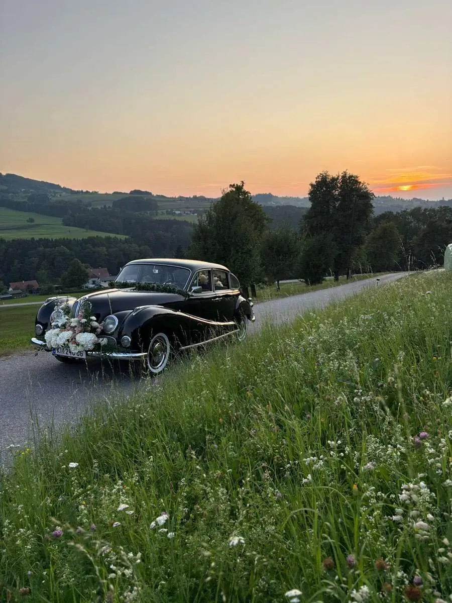 BMW 501 1957 photo 2