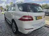 Mercedes-Benz M-Class 2012 photo 3