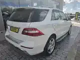 Mercedes-Benz M-Class 2012 photo 5