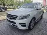 Mercedes-Benz M-Class 2012 photo 4