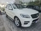 Mercedes-Benz M-Class 2012 photo 2