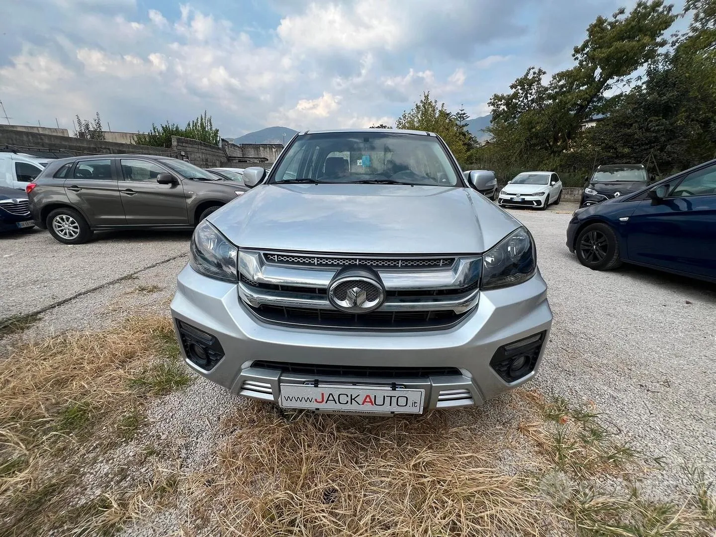 Great Wall Steed