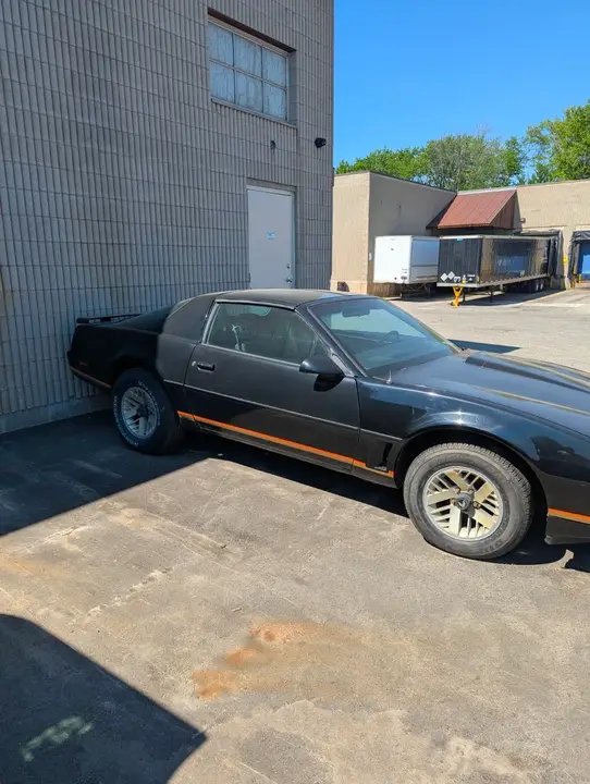 Pontiac Trans Am 1982 photo 2