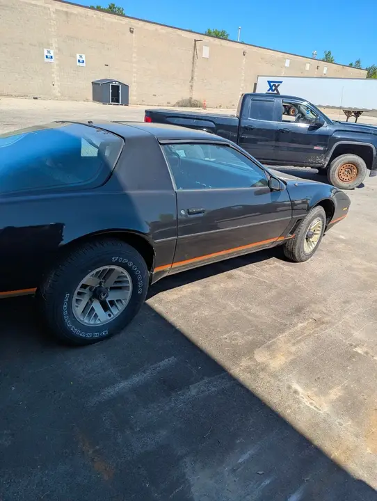 Pontiac Trans Am 1982 photo 3