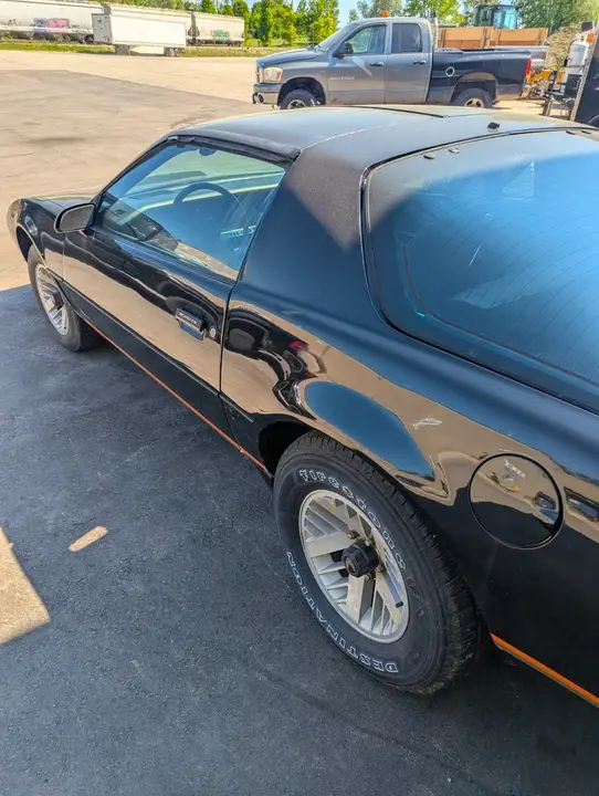 Pontiac Trans Am 1982 photo 5