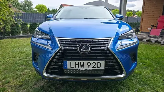 Lexus Nx300H 2019 photo 5