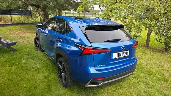 Lexus Nx300H 2019 photo 2