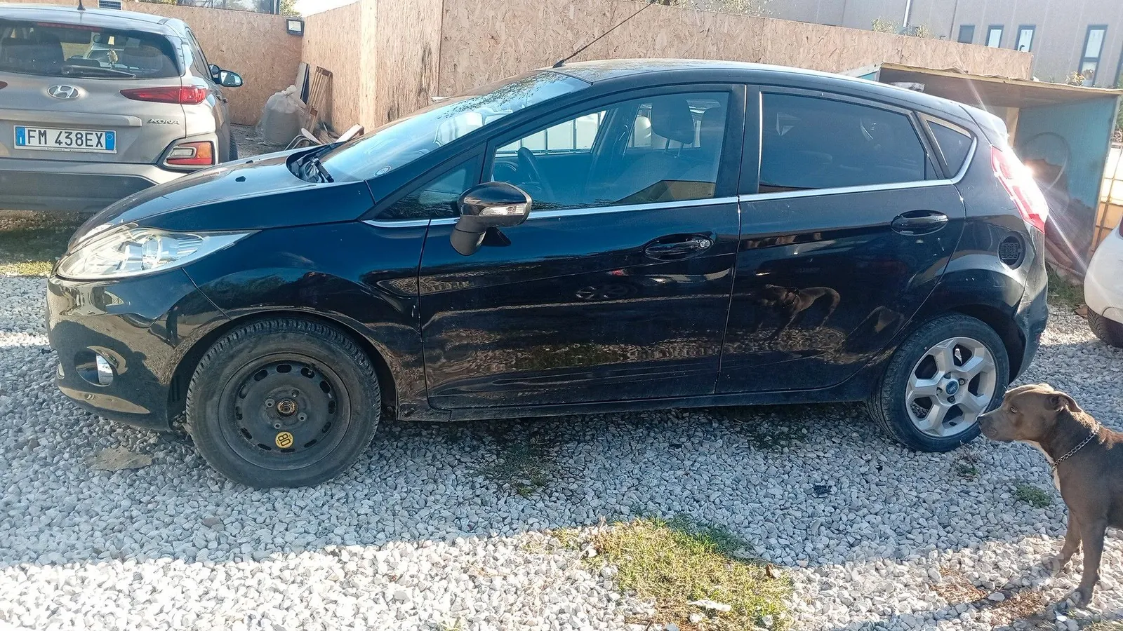 Ford Fiesta 2010 photo 3