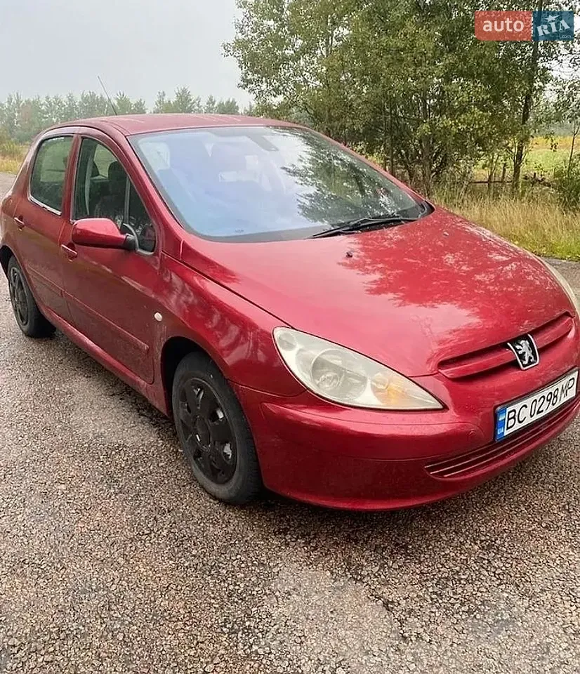 Peugeot 307 2002 photo 2