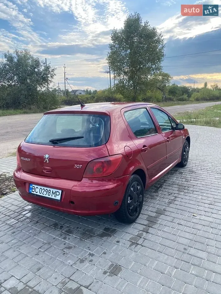 Peugeot 307 2002 photo 4