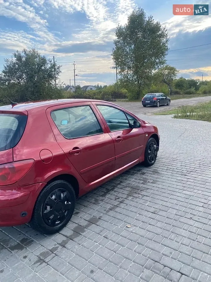 Peugeot 307 2002 photo 5