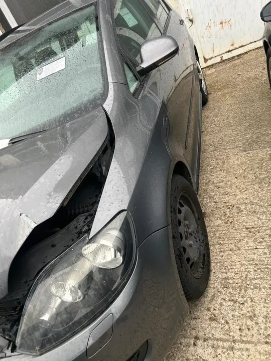 Volkswagen Golf 2009 photo 2