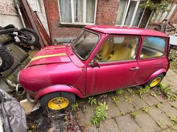 Mini Leyland