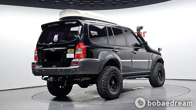 Hyundai Terracan 2002 photo 2