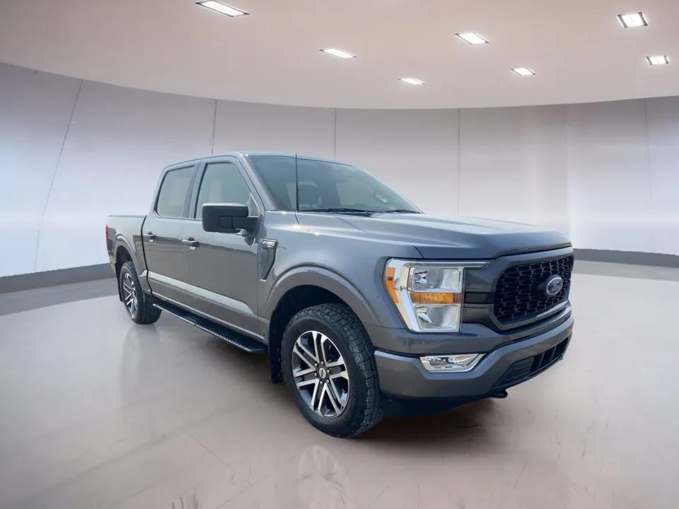 Ford F-150 2021 photo 3