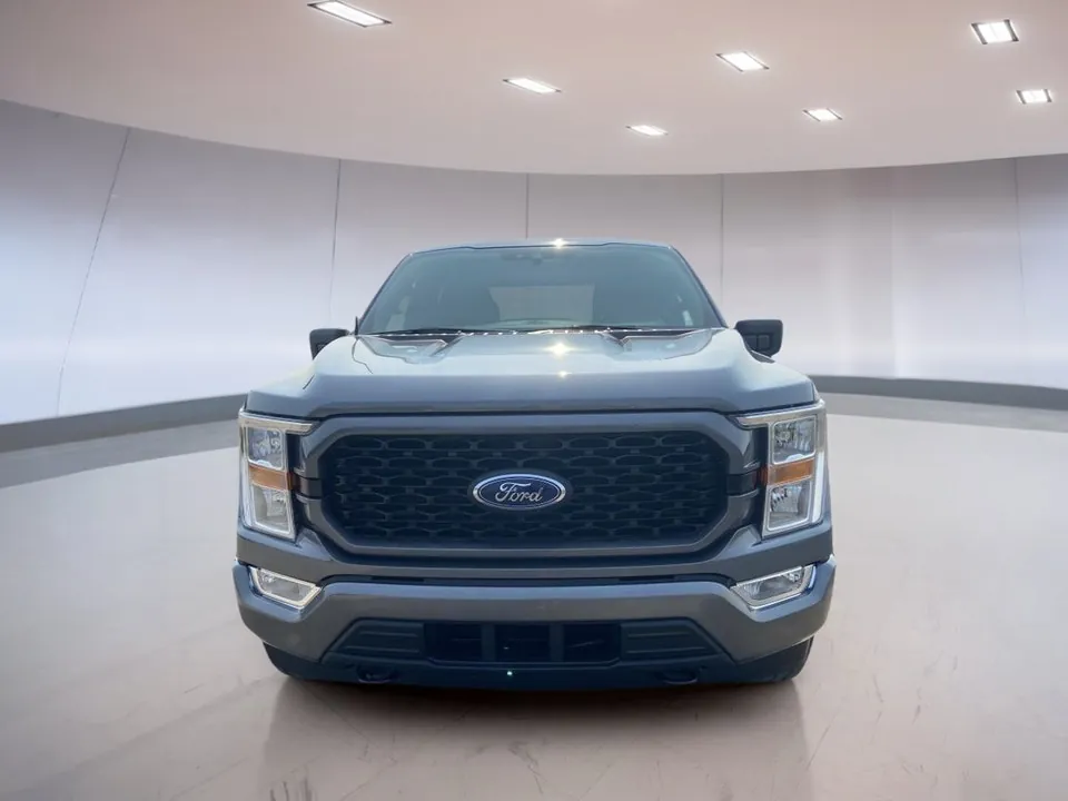 Ford F-150 2021 photo 2
