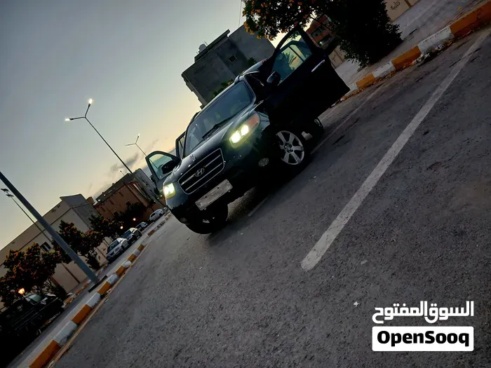 Hyundai Santa Fe 2009 photo 2