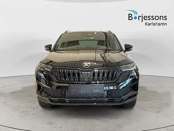 Skoda Karoq 2027 photo 5