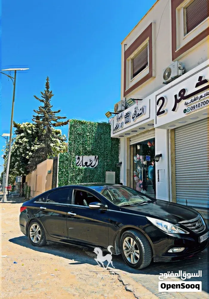 Hyundai Sonata 2011 photo 3