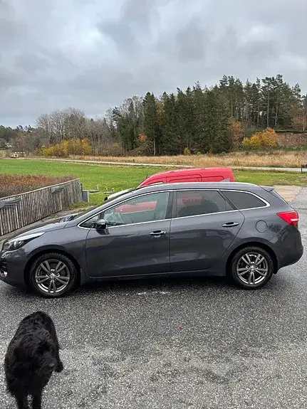 Kia Ceed 2017 photo 3