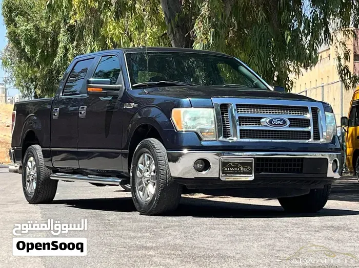 Ford F-150 2013 photo 3