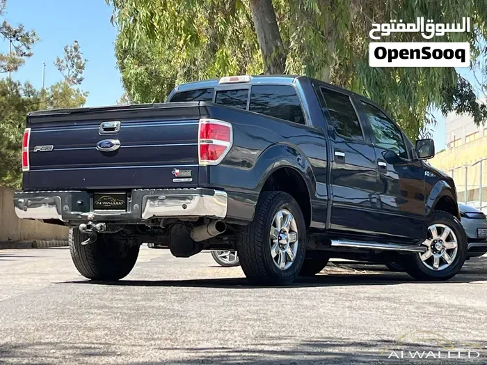 Ford F-150 2013 photo 4