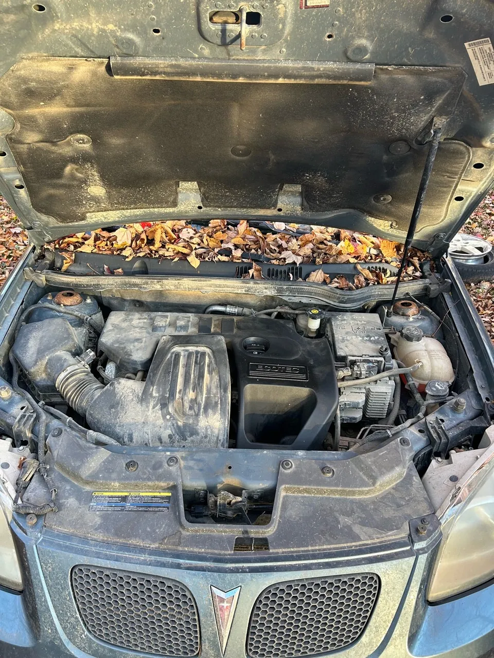 Pontiac G5 2007 photo 2