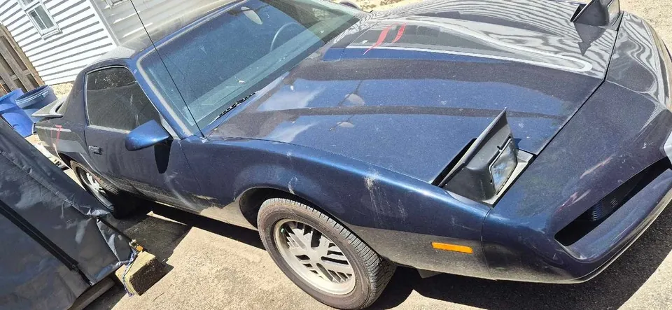 Pontiac Firebird 1991 photo 3