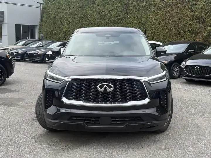 Infiniti Qx60 2024 photo 3